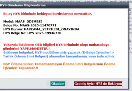 1741348944873.webp