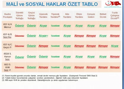 Mali ve Sosyal Haklar Özet tablo.webp