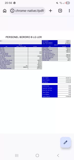 Screenshot_20260524_205633_Chrome.webp