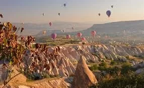 images (1).webp