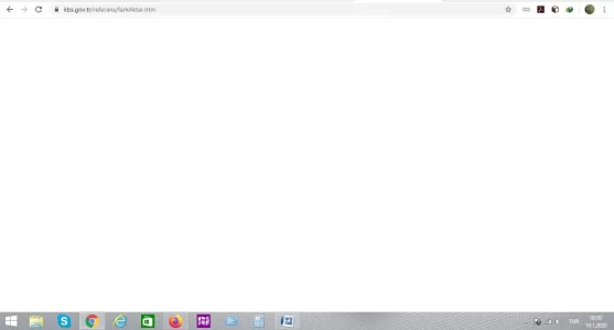 Capture.webp