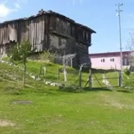 hasan6737