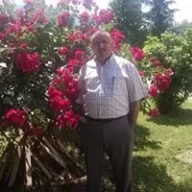 Mutemet 37