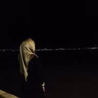 Firdevs04