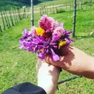 cicekugur