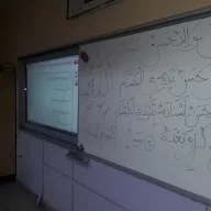 Gultekin02