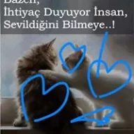 berber erol