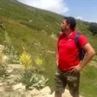 Asaf