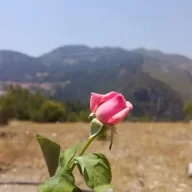 osmancolak