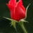 Ferhat66